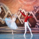 THE NUTCRACKER