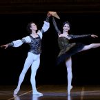 Фото из спектакля SWAN LAKE