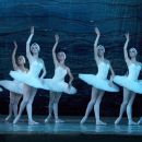 SWAN LAKE