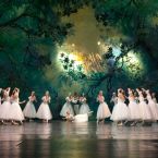 Фото из спектакля HERE STAR WINNERS