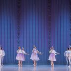 Фото из спектакля HERE STAR WINNERS