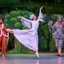 PETER AND THE WOLF. THE UGLY DUCKLING