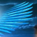 BLUE BIRD