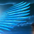 BLUE BIRD