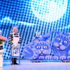 Фото из спектакля CAT'S HOUSE